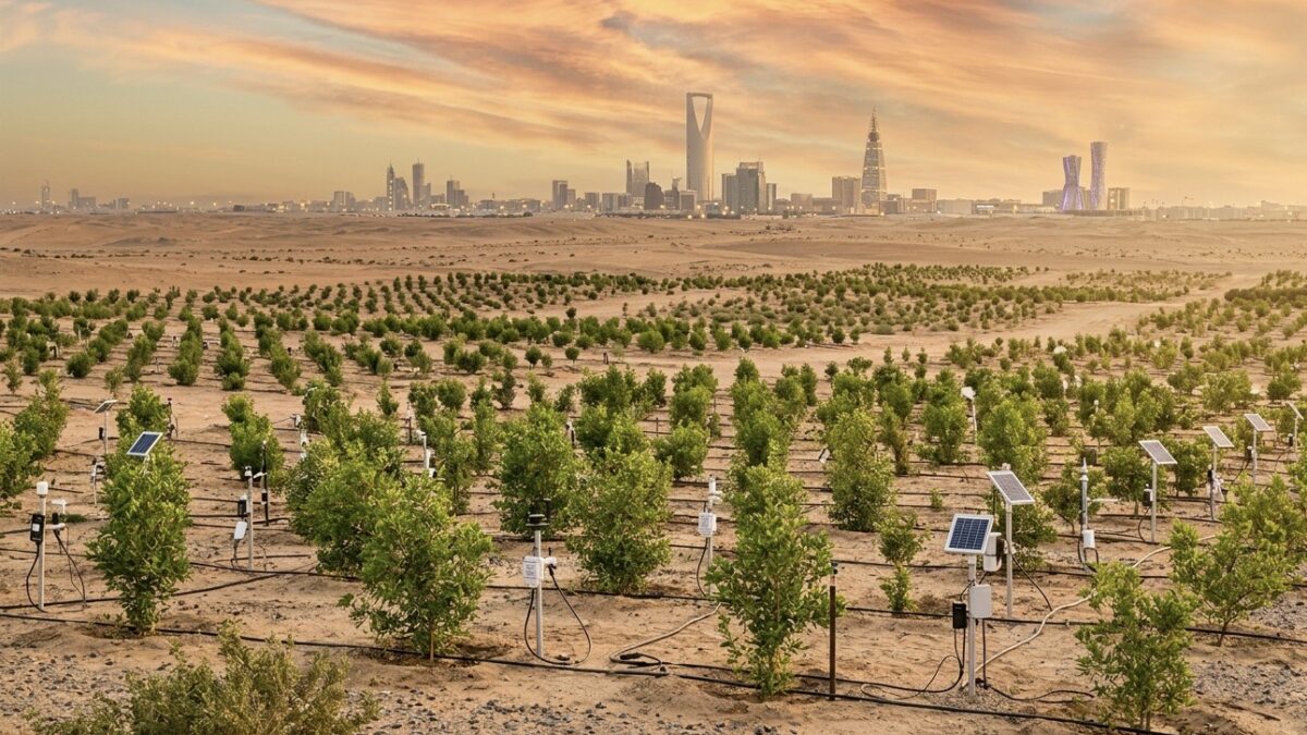 UN Praises Saudi Green Initiative: 1M Hectares Restored